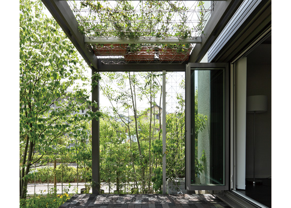エクステリアデザイン100 夏の日差しを遮るグリーンなパーゴラ 庭を楽しむ家 庭づくり エクステリア ミサワホーム